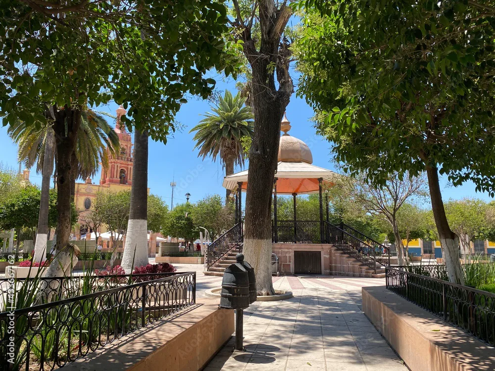 Rincón de Romos — vista panorámica destacada