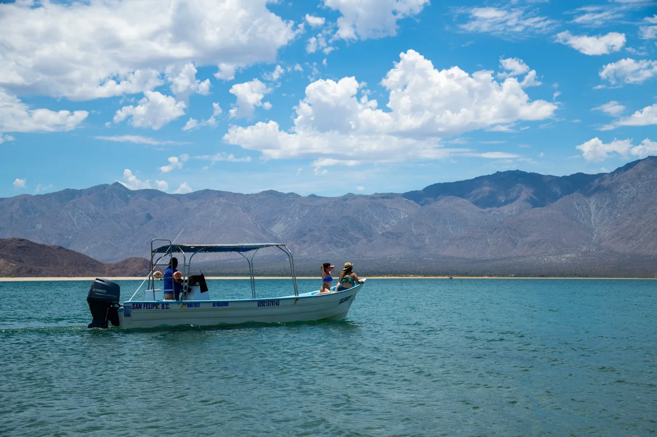 Bahía Falsa — foto 7