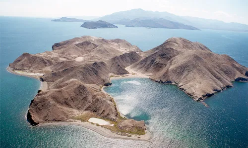 Islas del Golfo de California — foto 3