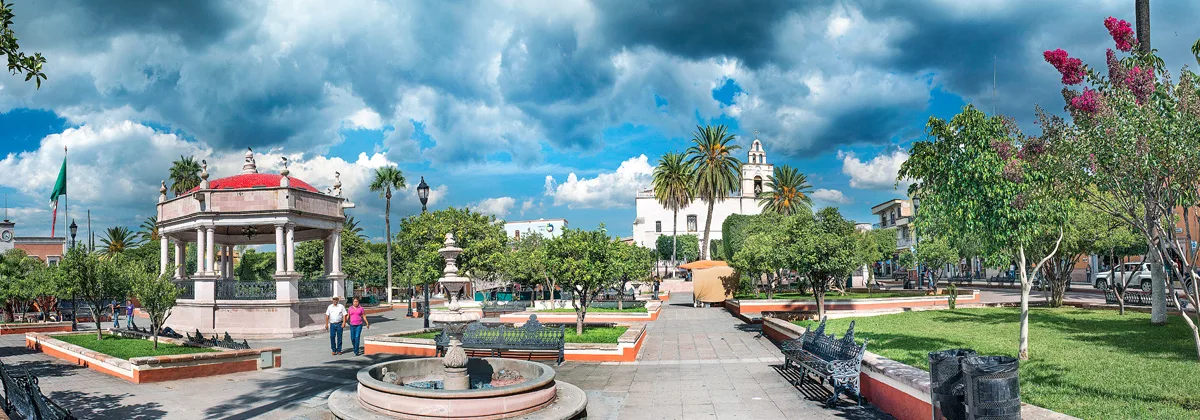 Calvillo — foto 4