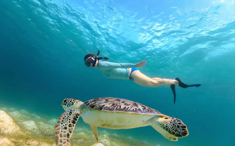 Santuario Tortuguero de Akumal — foto 2