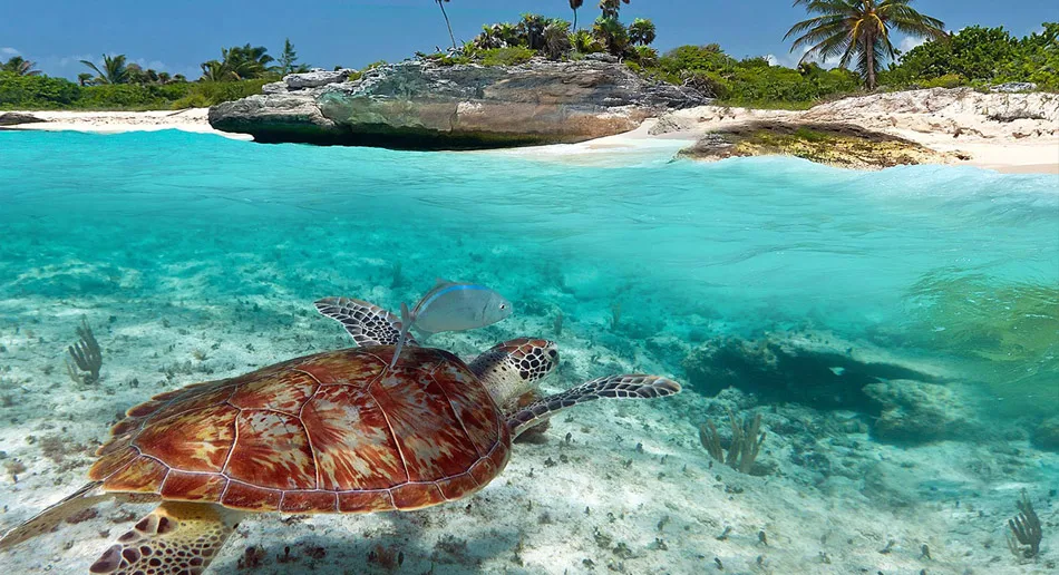 Fotos de Akumal