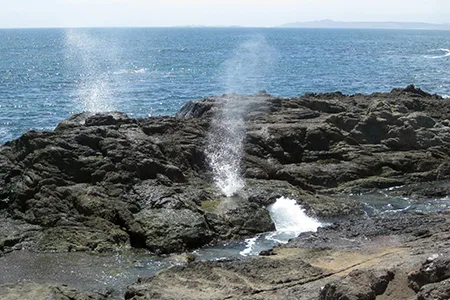 Bahía Asunción — foto 3