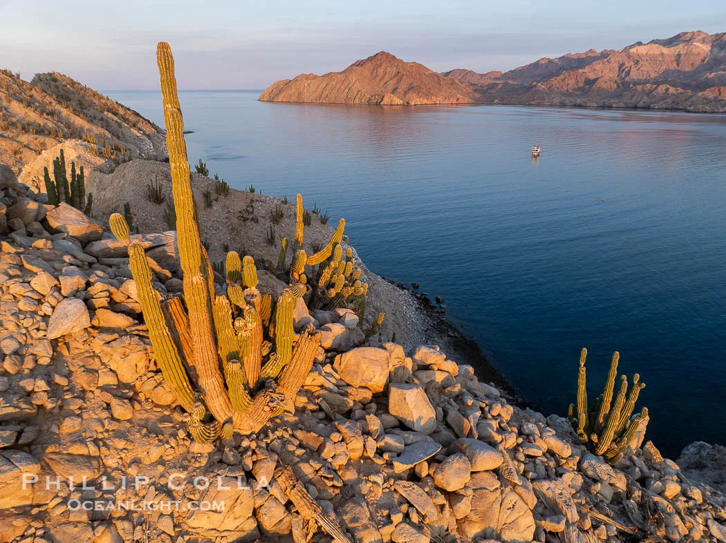 Isla Ángel de la Guarda — foto 3