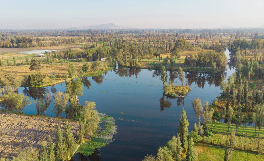 Xochimilco — foto 3