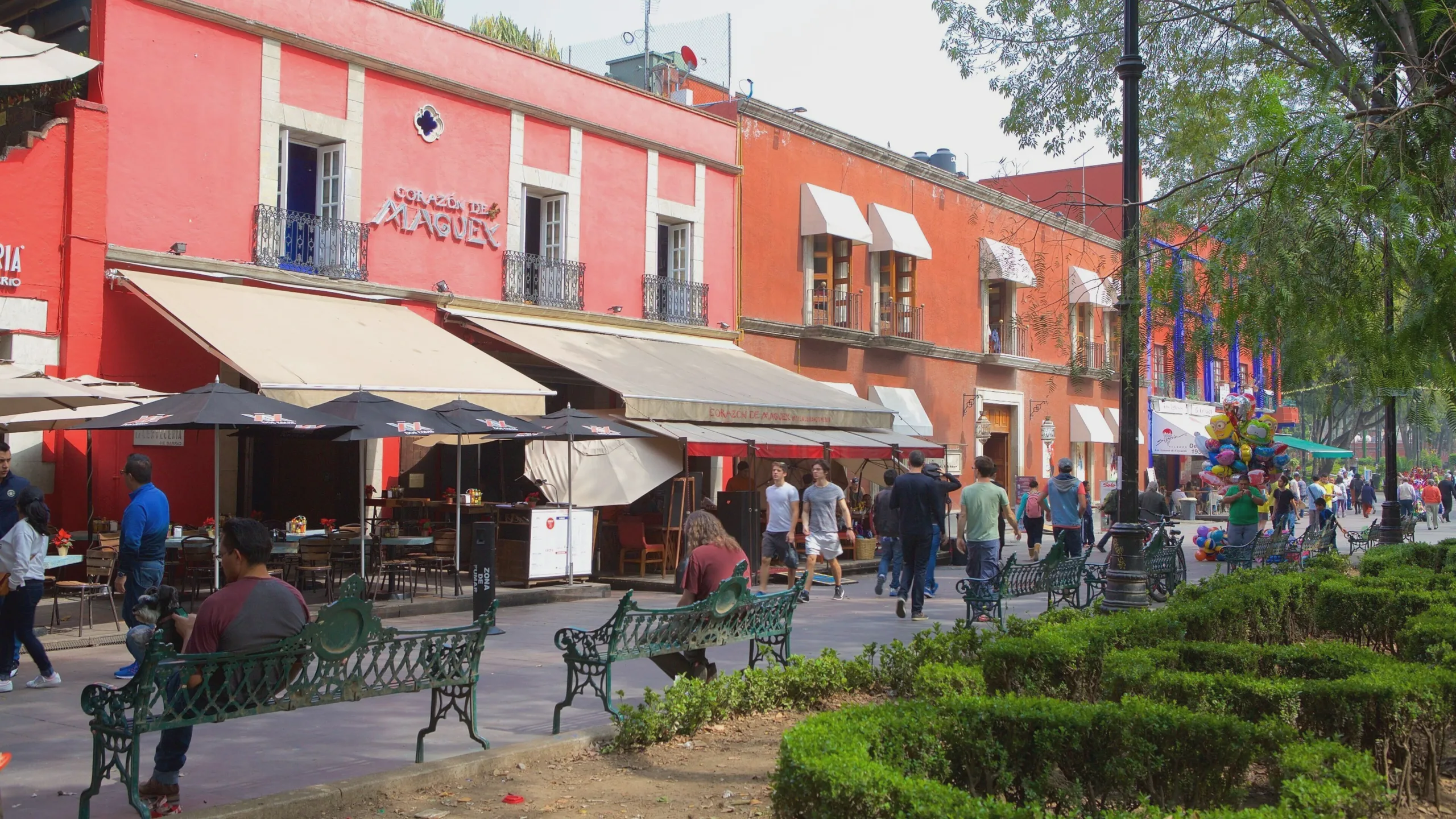 Coyoacan — barrio recomendado en CDMX