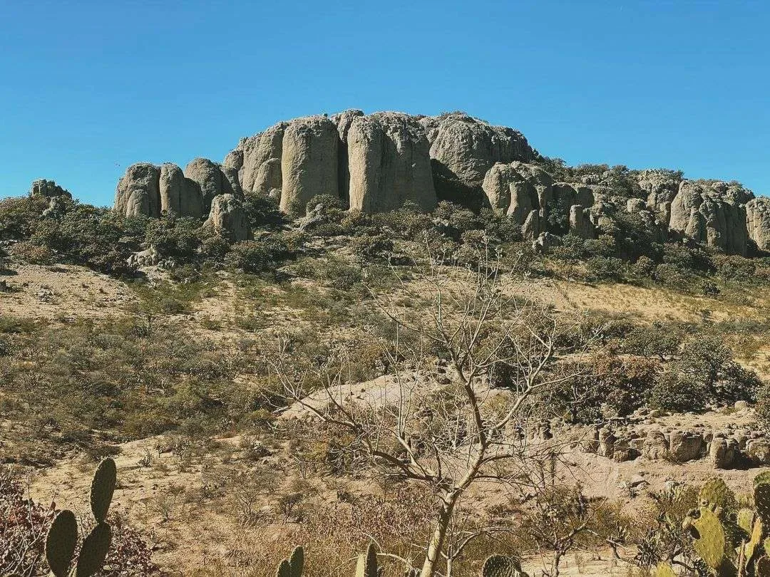 El Ocote — foto 5