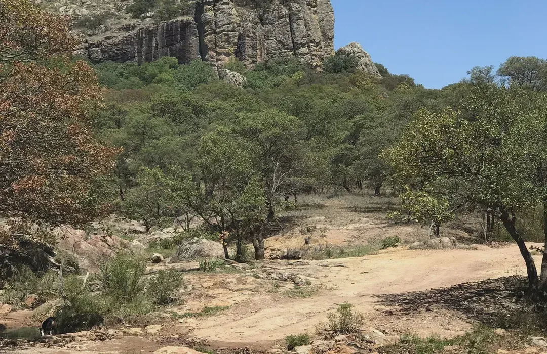 Sierra del Laurel — foto 4
