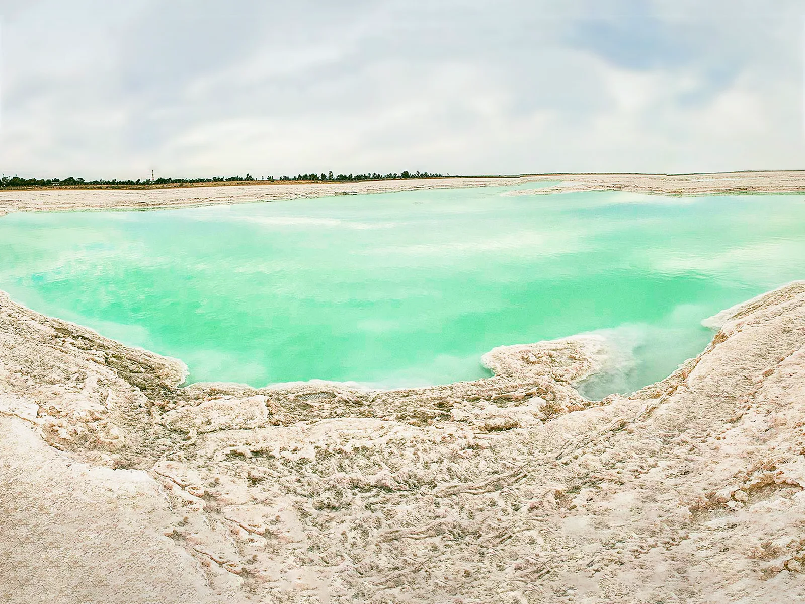 Guerrero Negro — foto 2