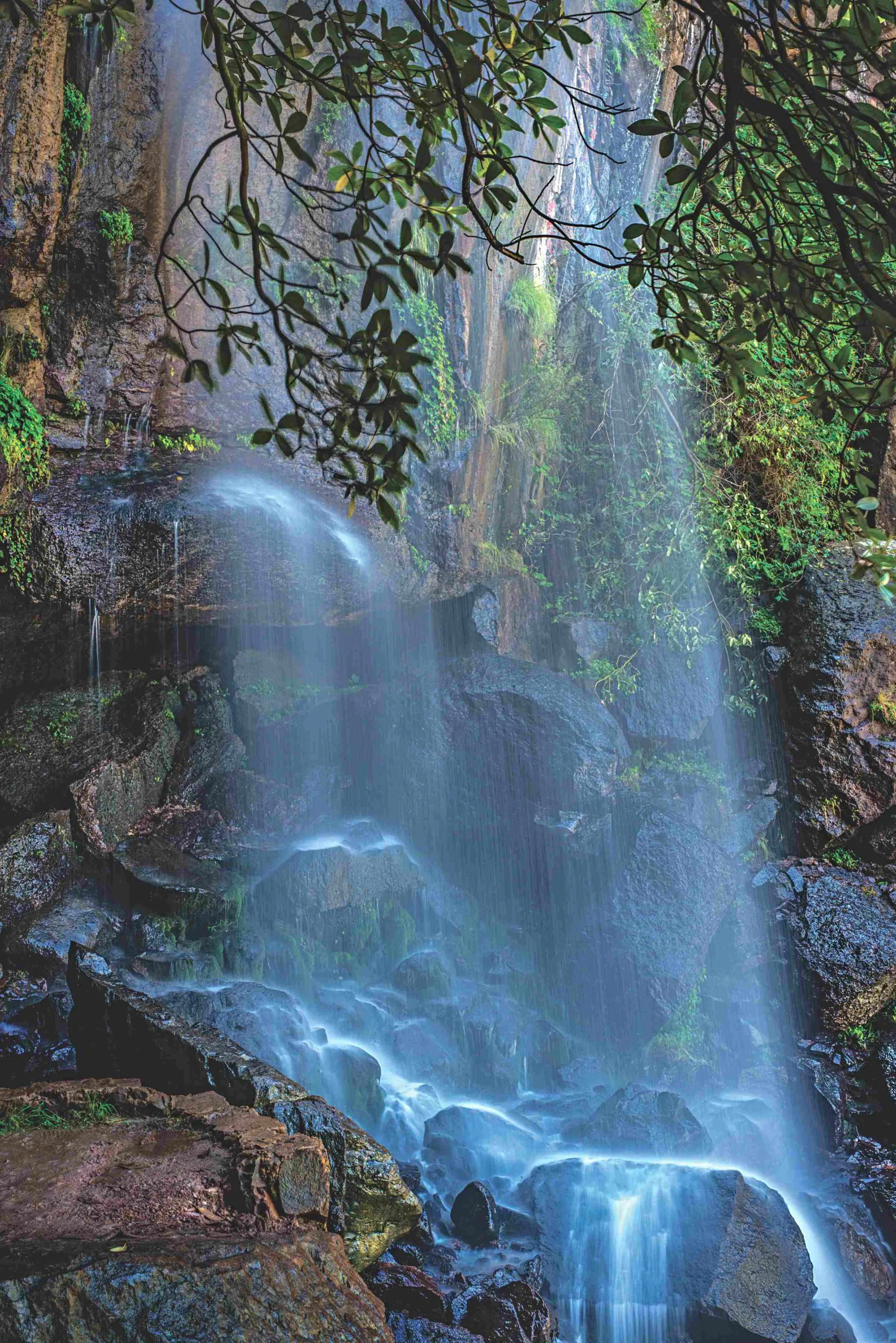 Sierra del Laurel — foto 8