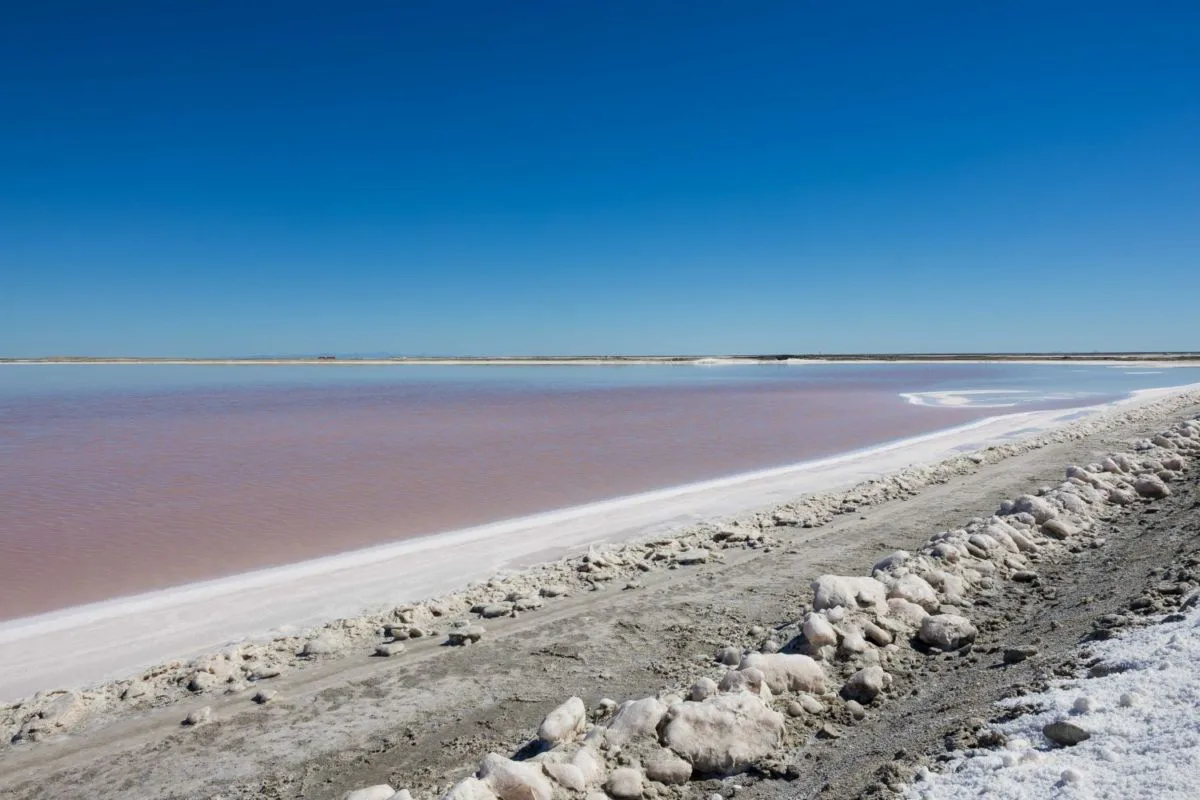 Fotos de Guerrero Negro