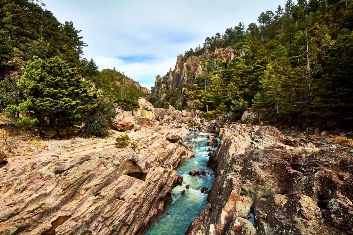 Bosques de Basaseachi — Bosques