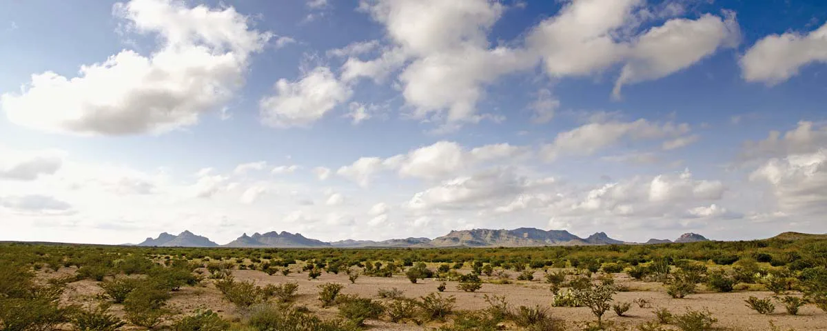 Zona del Silencio — Desiertos