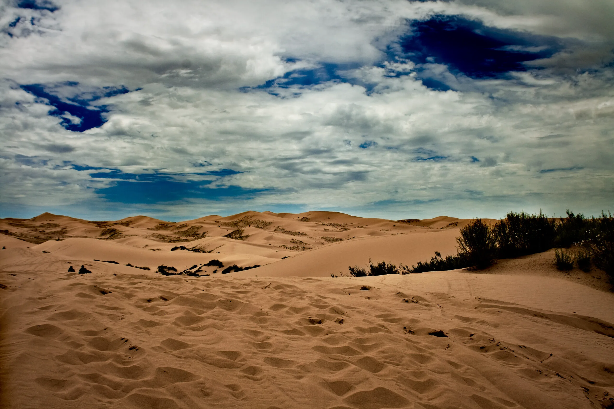 Dunas de Samalayuca, Chihuahua