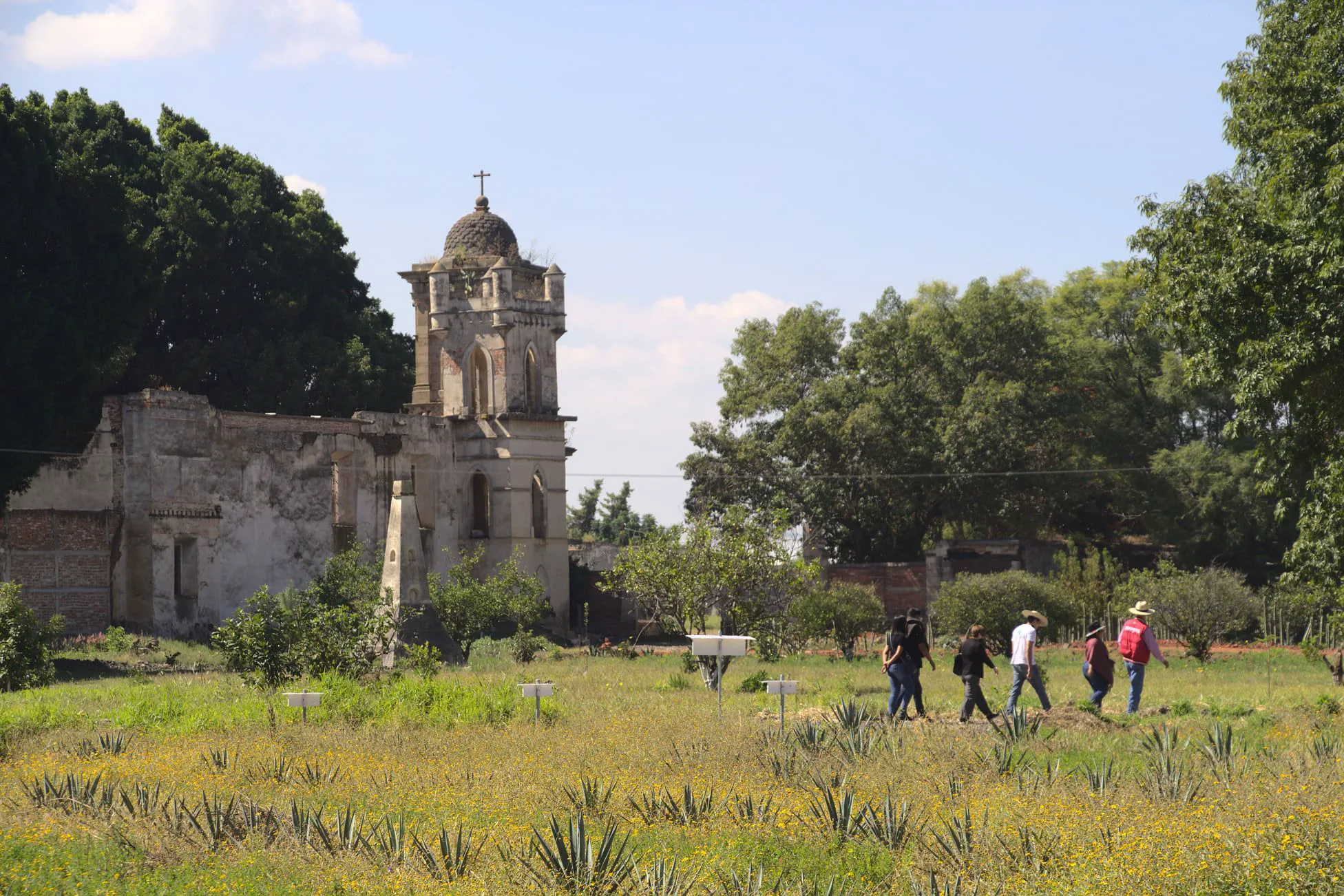 Ruta del Mezcal — ruta temática por Michoacán
