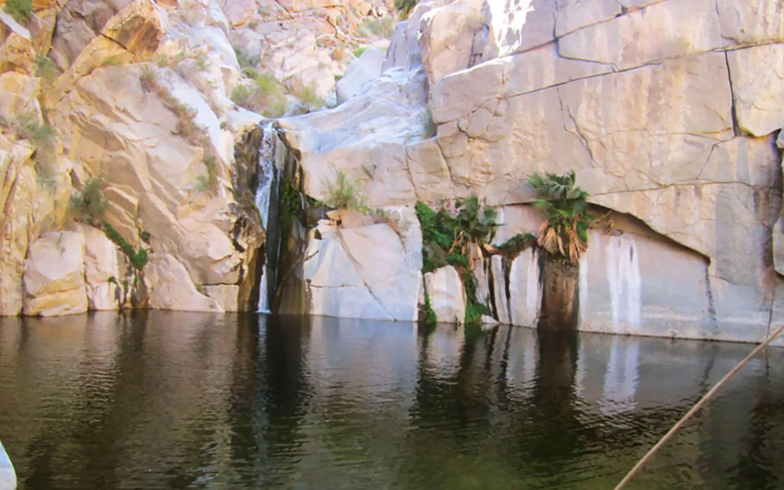 Cañón de Guadalupe, Baja California