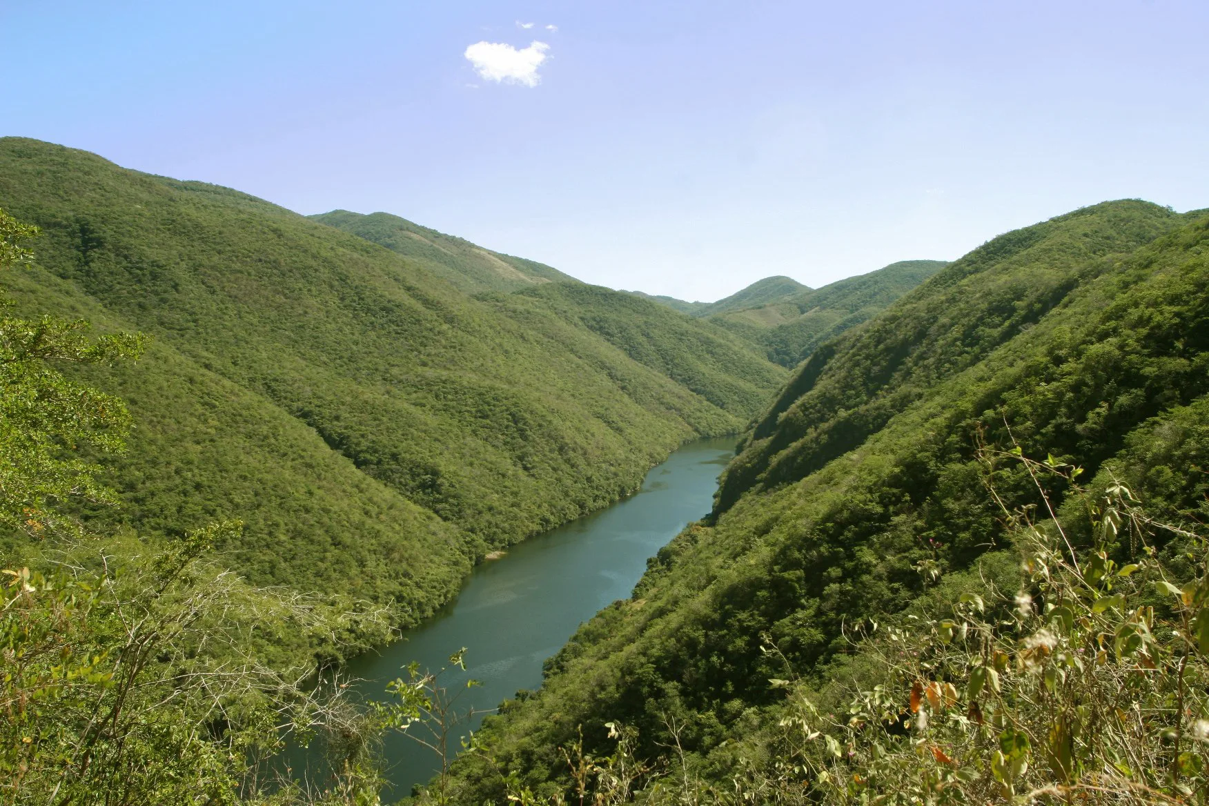 Reserva de la Biosfera Zicuirán-Infiernillo — Reservas naturales