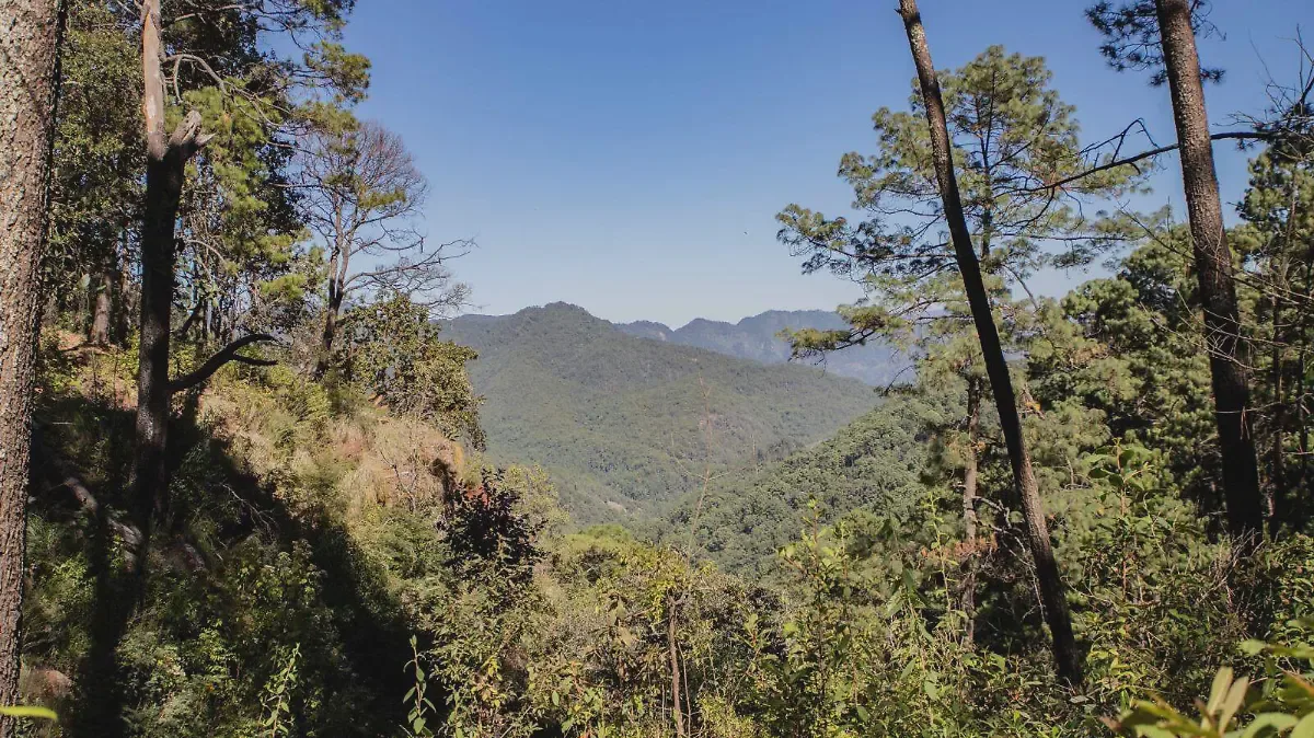 Sierra de Otzumatlán — Montañas y sierras