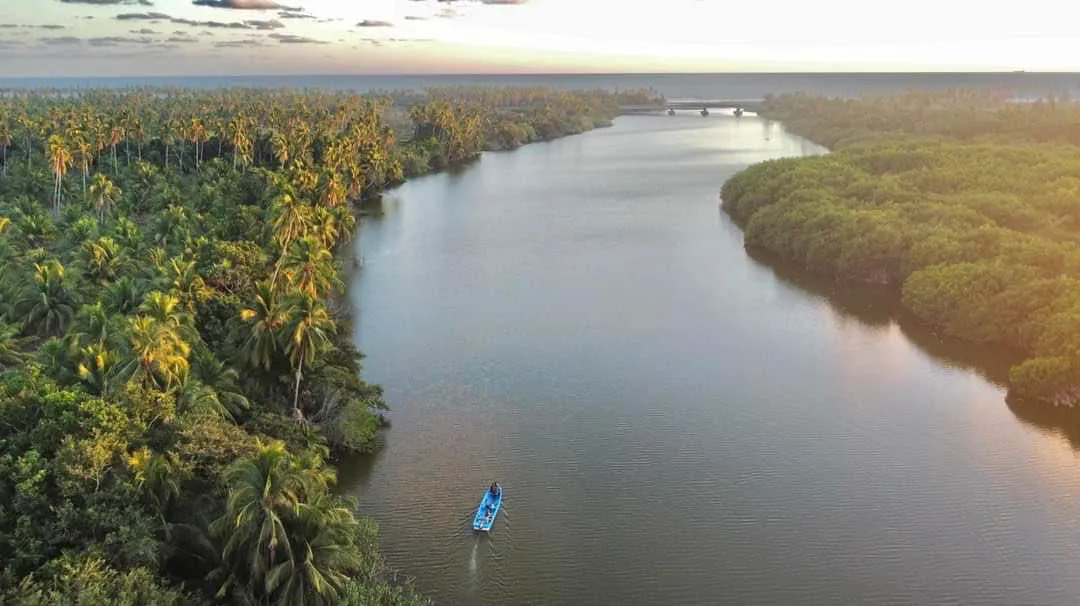 Manglares de Mexcalhuacán — Humedales y manglares