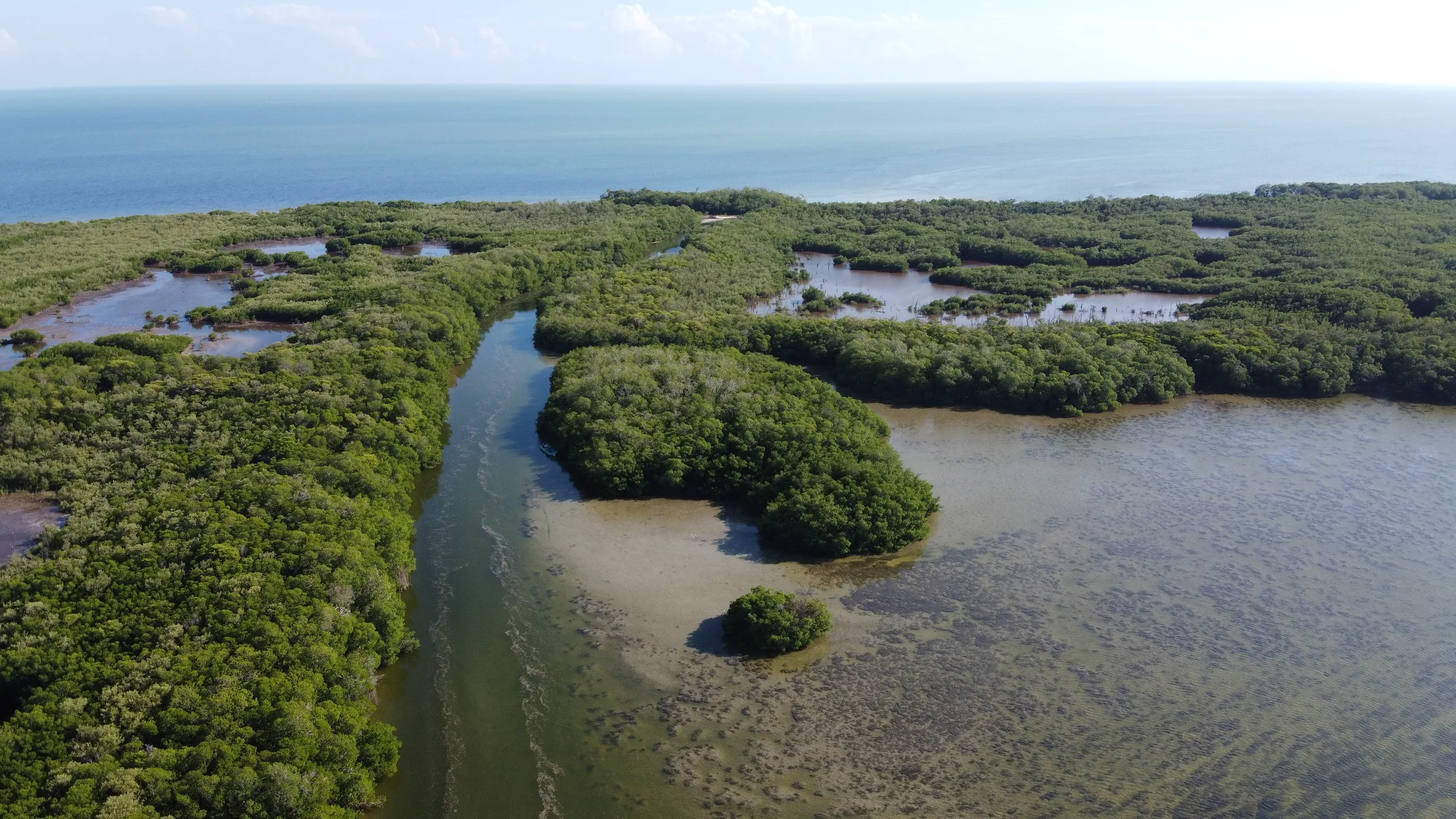 Área de Protección Laguna de Términos, Campeche
