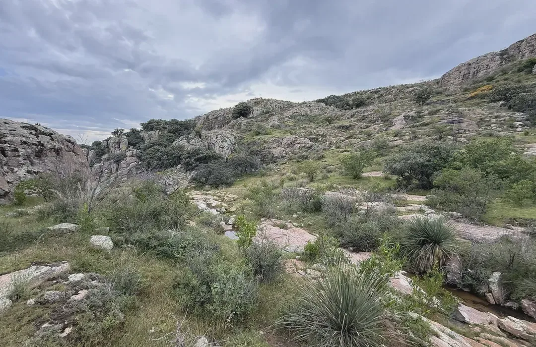Sierra del Laurel — Reservas naturales