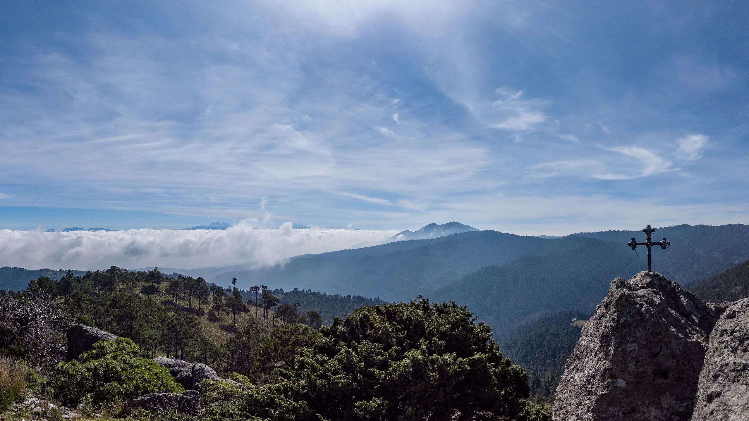 Parque Nacional Desierto de los Leones, Ciudad de México