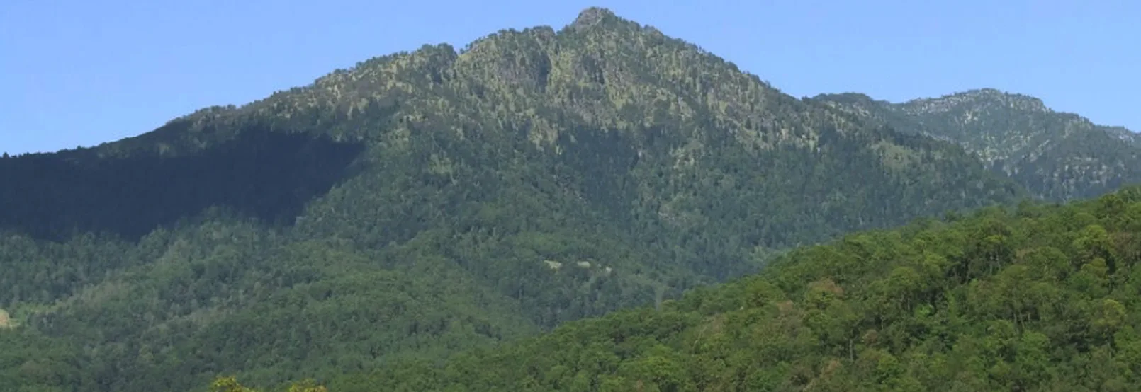 Pico de Tancítaro — Volcanes