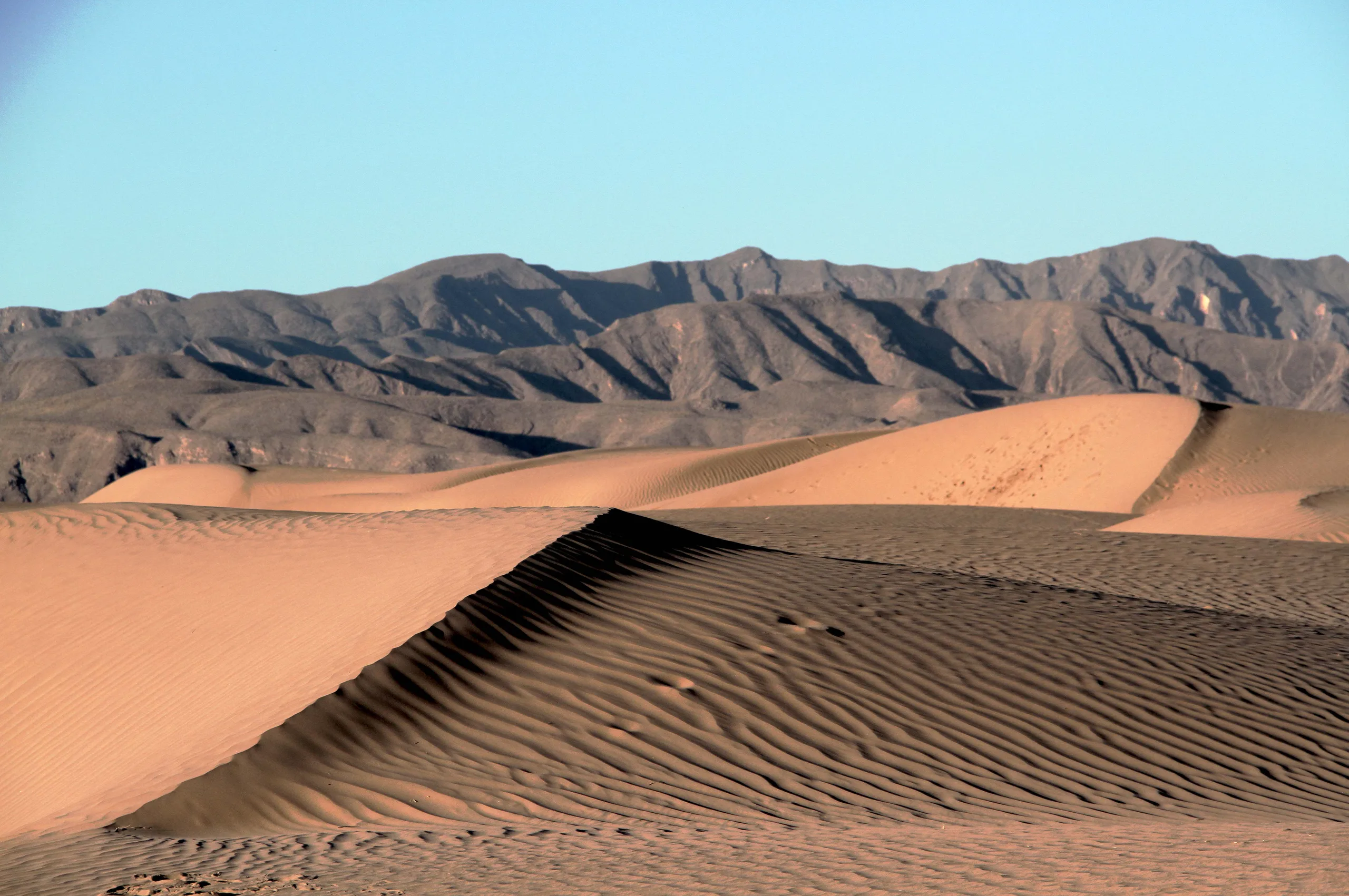 Dunas de Bilbao — Desiertos