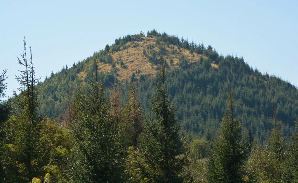 Santuario Cerro Pelón — Santuarios de fauna