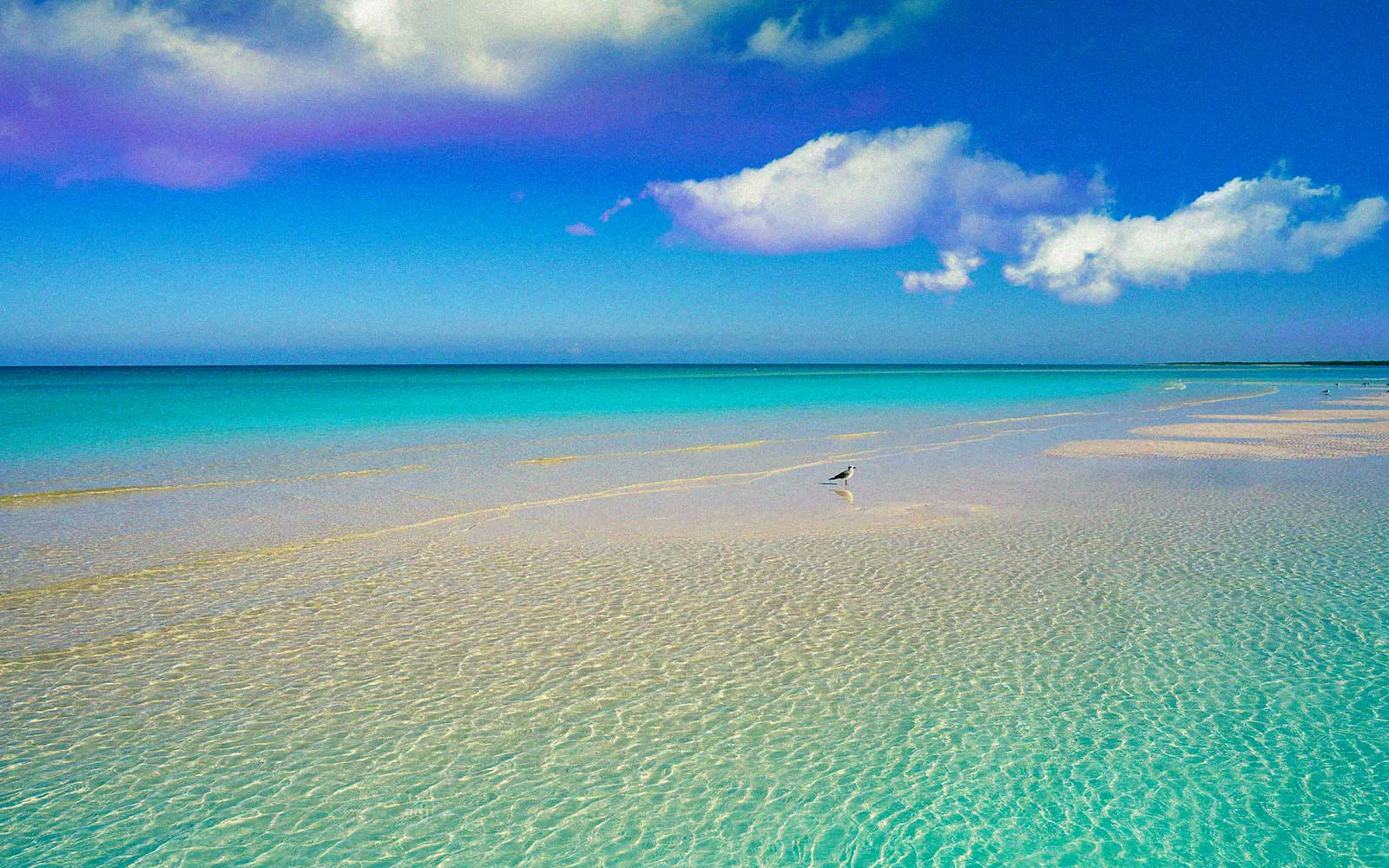Holbox — foto 4