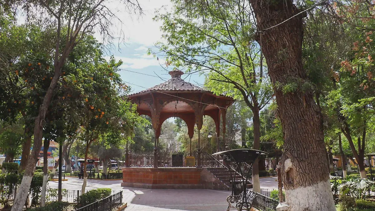 Lerdo — foto 2