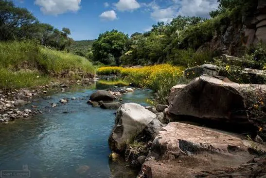 Río Calvillo — foto 3