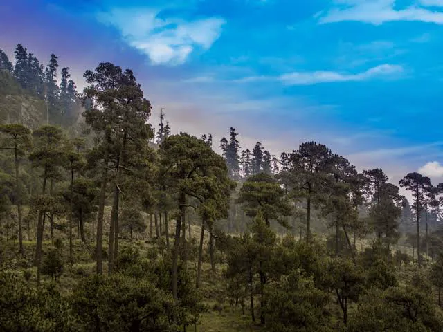 Tlalpan y Ajusco — foto 2