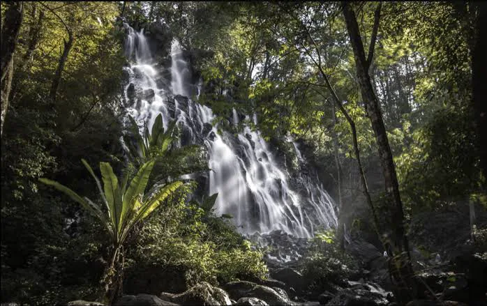 Cascada Los Alisos — foto 5