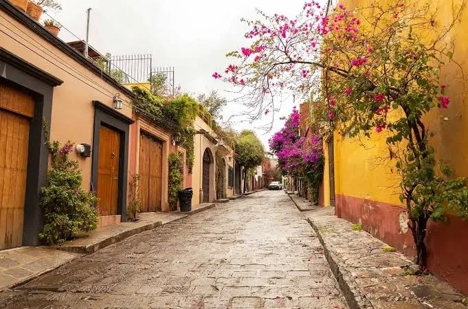 Fotos de Coyoacán