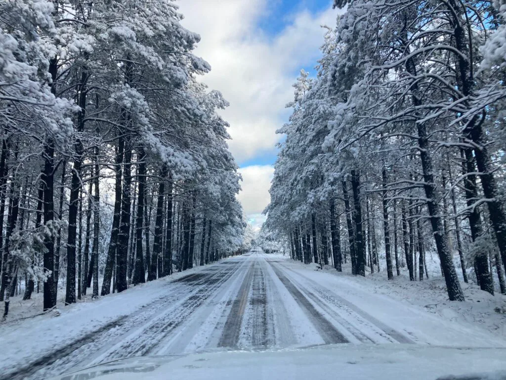 Madera — foto 3