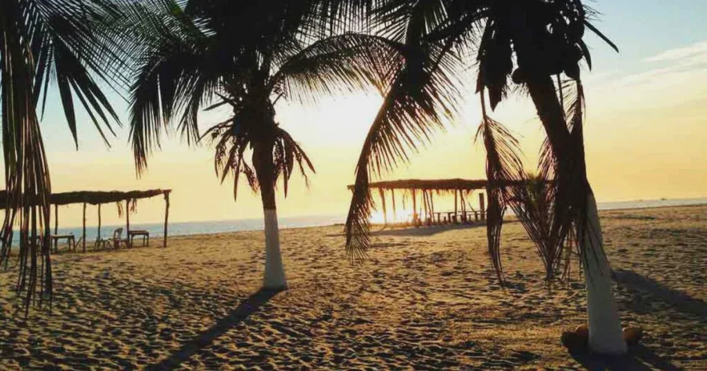 Playa del Sol — foto 4