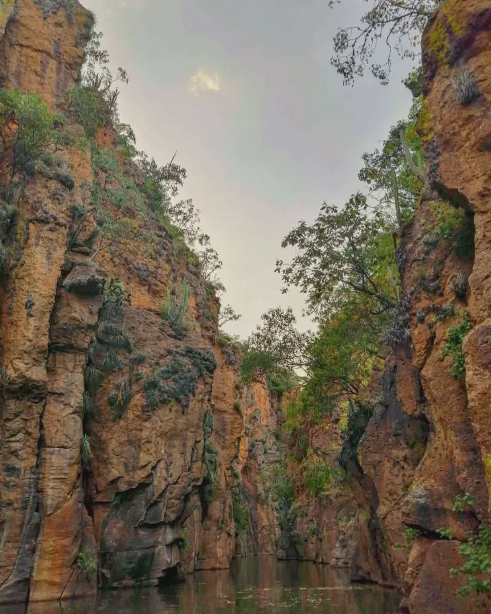 Cascadas de Malpaso — foto 2