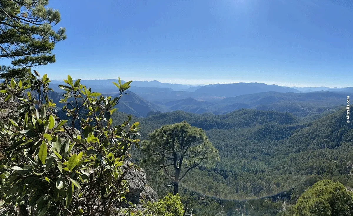 Pueblo Nuevo — foto 3