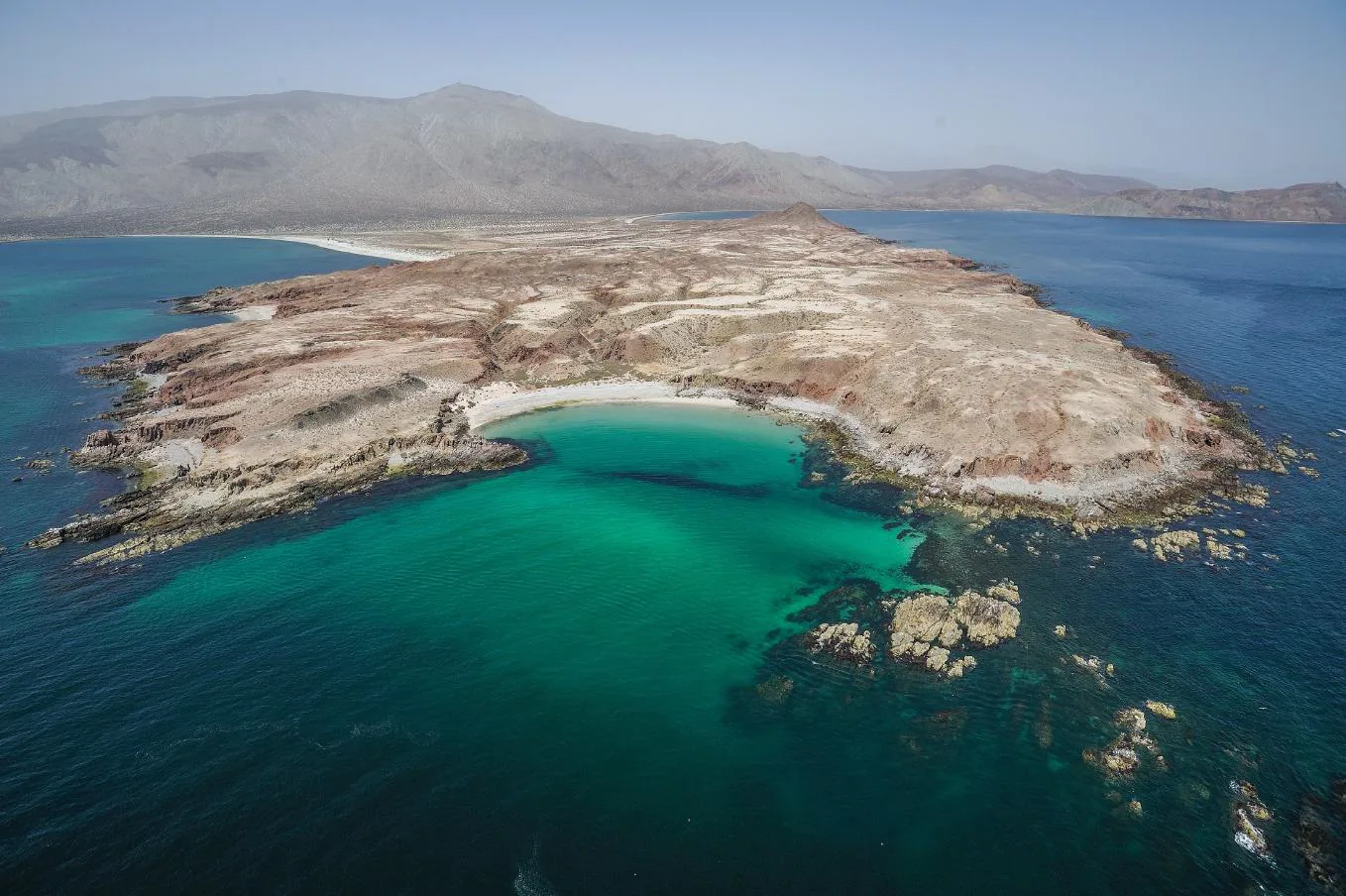 Bahía de los Ángeles — foto 4