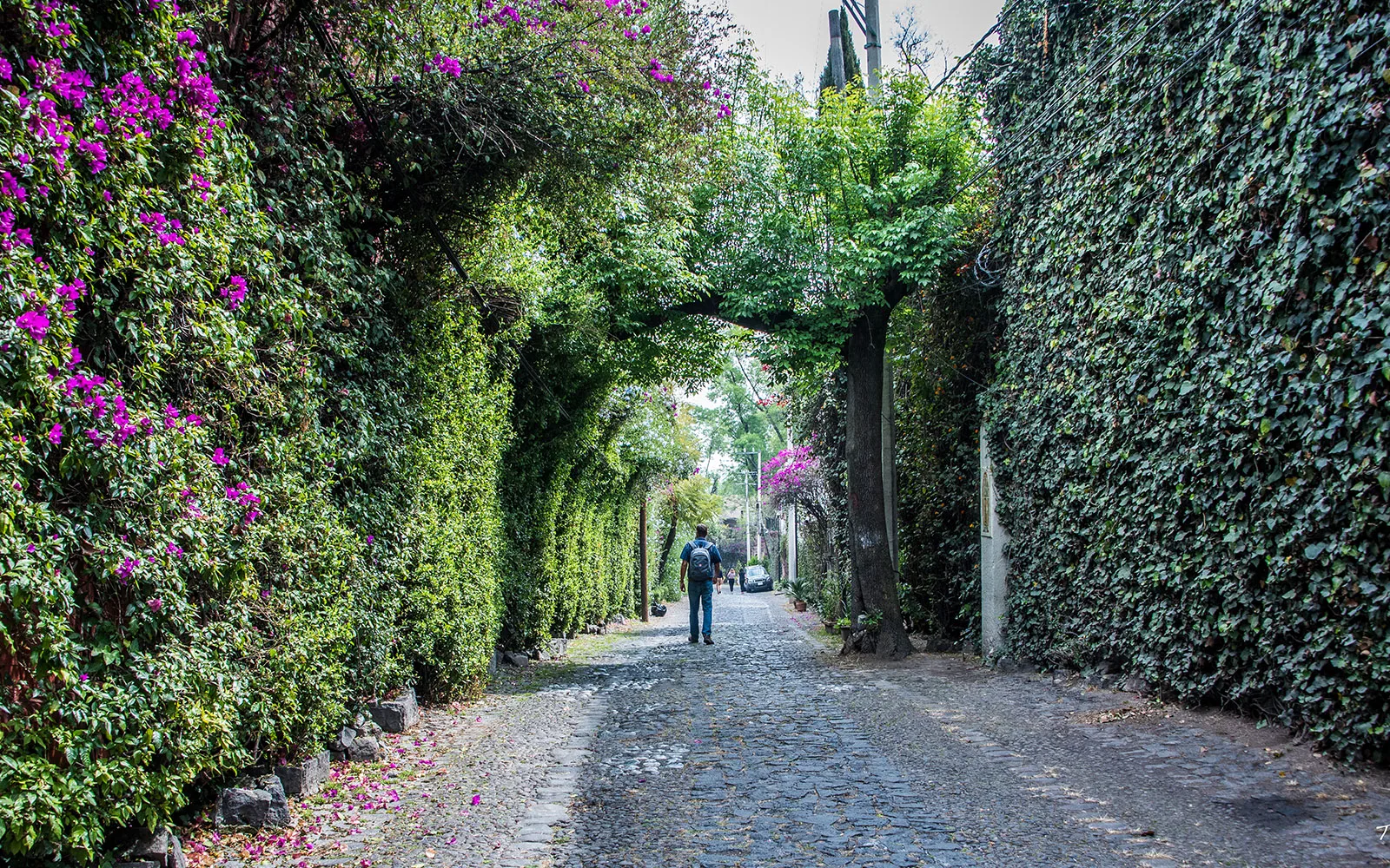 San Ángel — vista panorámica destacada