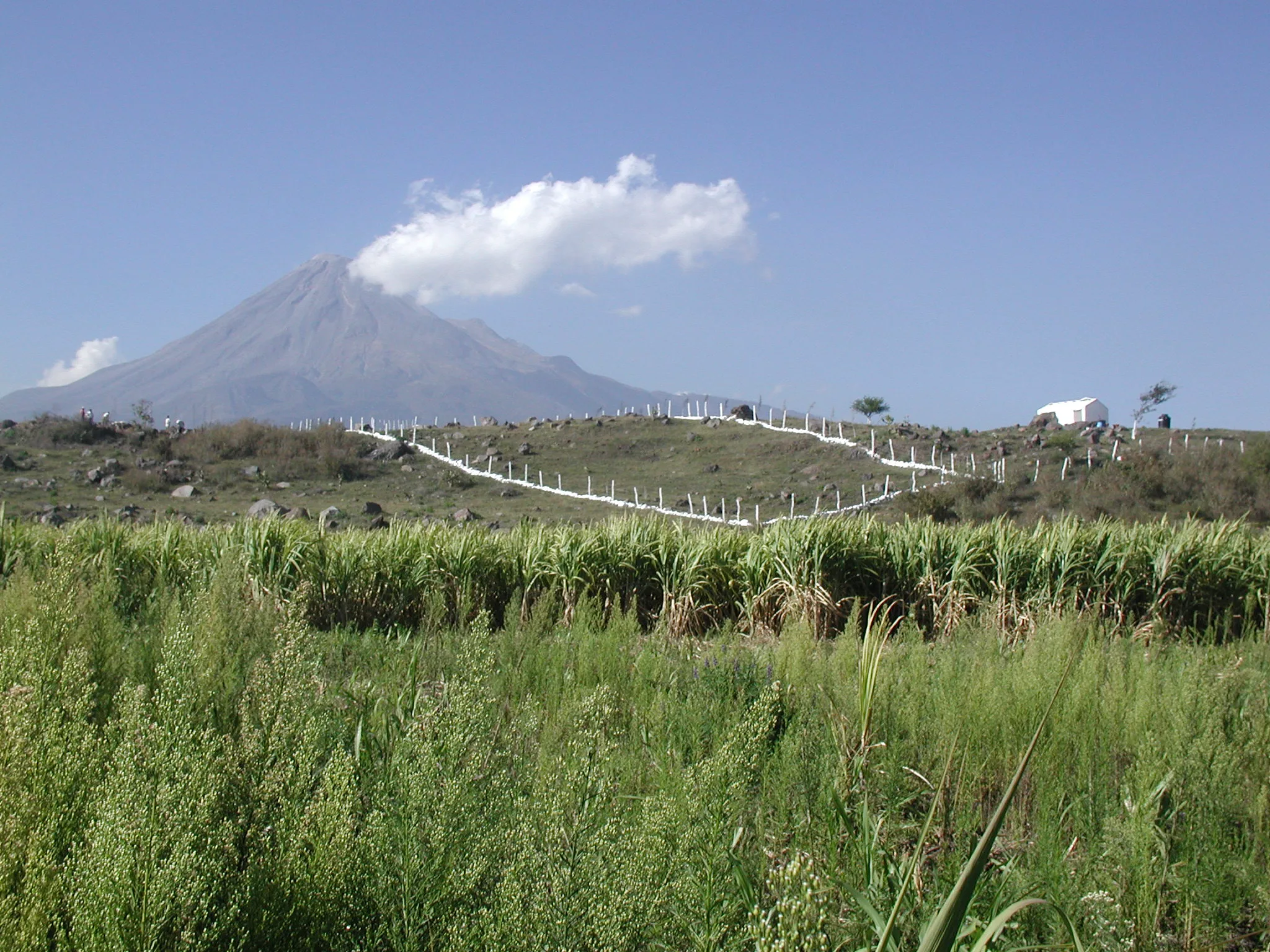 Cuauhtémoc — foto 2