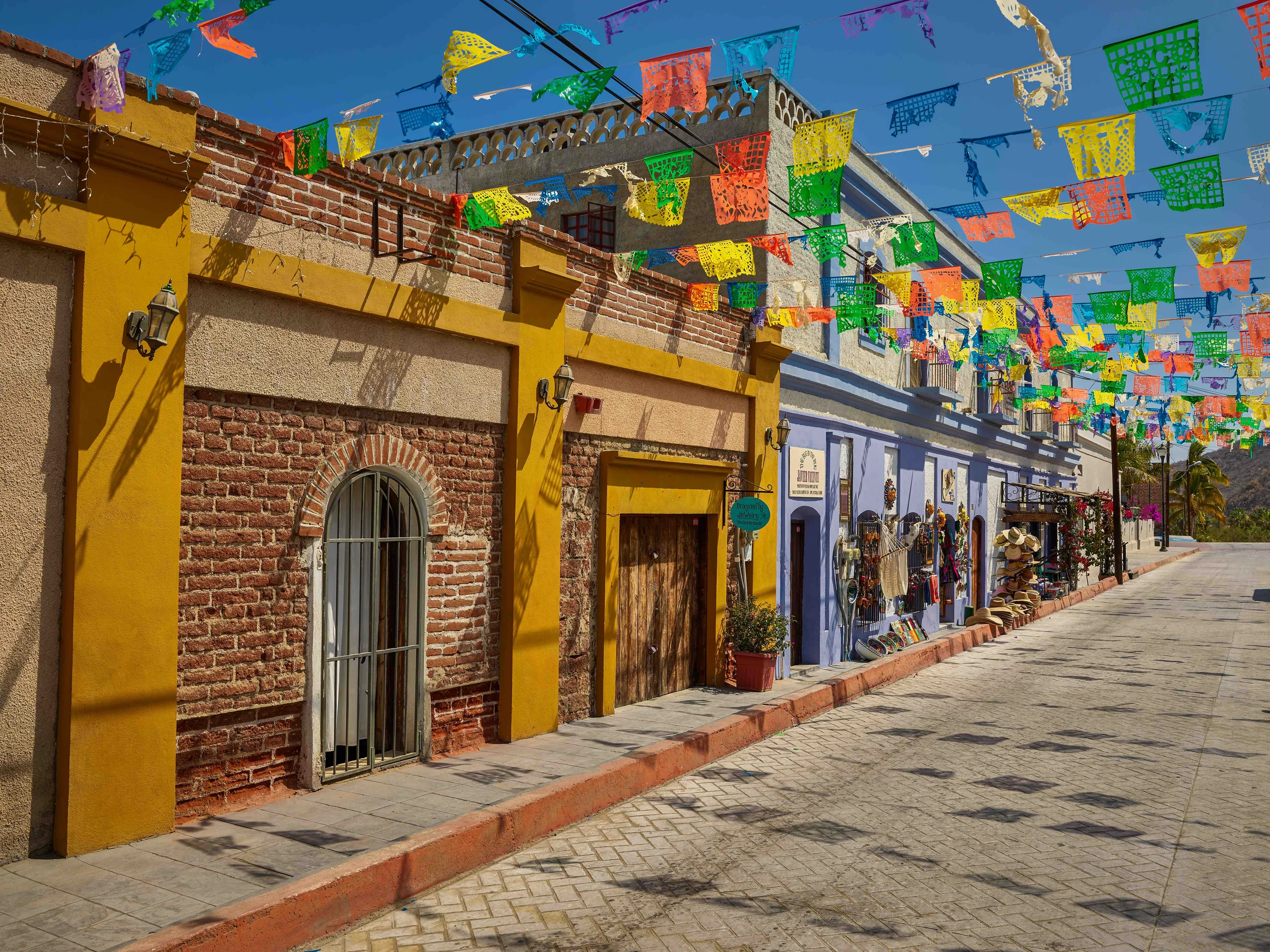 Todos Santos — vista panorámica destacada