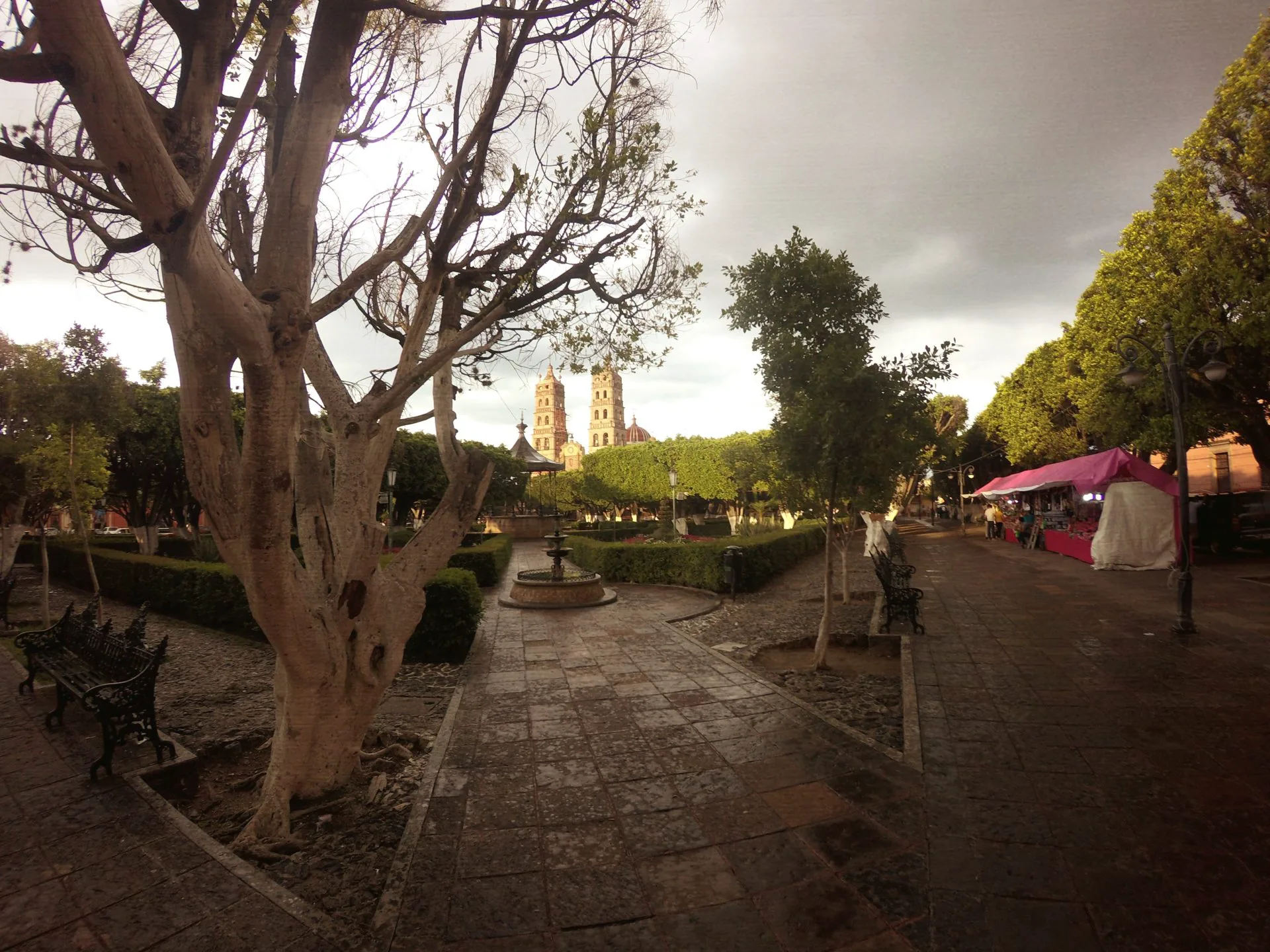 Fotos de Salvatierra