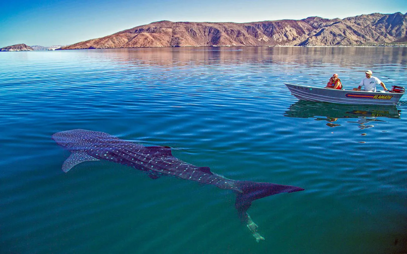 Bahía de los Ángeles — vista panorámica destacada