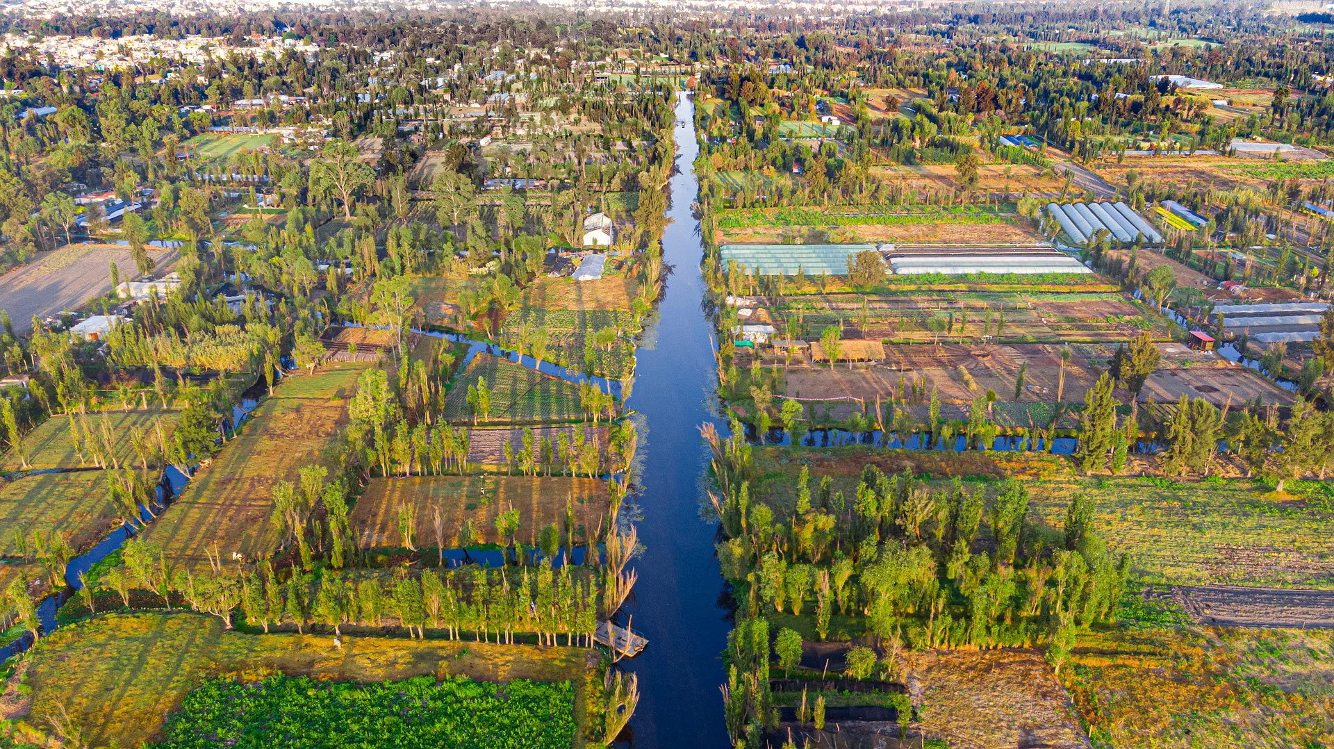 Xochimilco — barrio recomendado en CDMX